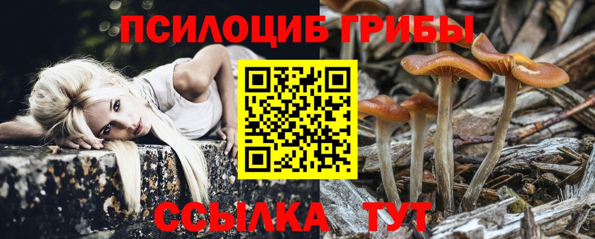 сколько стоит  Псилоцибиновые грибы GOLDEN TEACHER  Вход с VPN  Чебаркуль  Псилоцибиновые грибы Psilocybine cubensis 