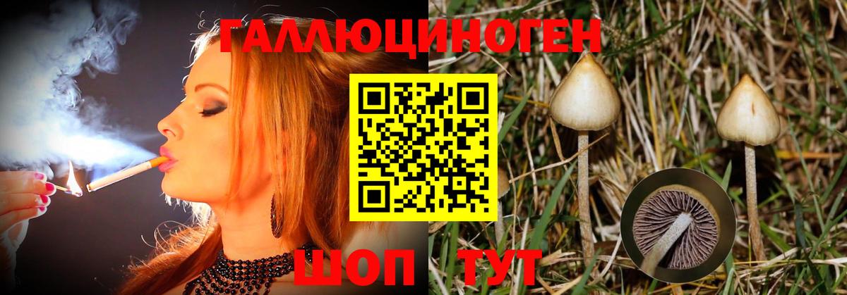 Псилоцибиновые грибы Cubensis Чебаркуль